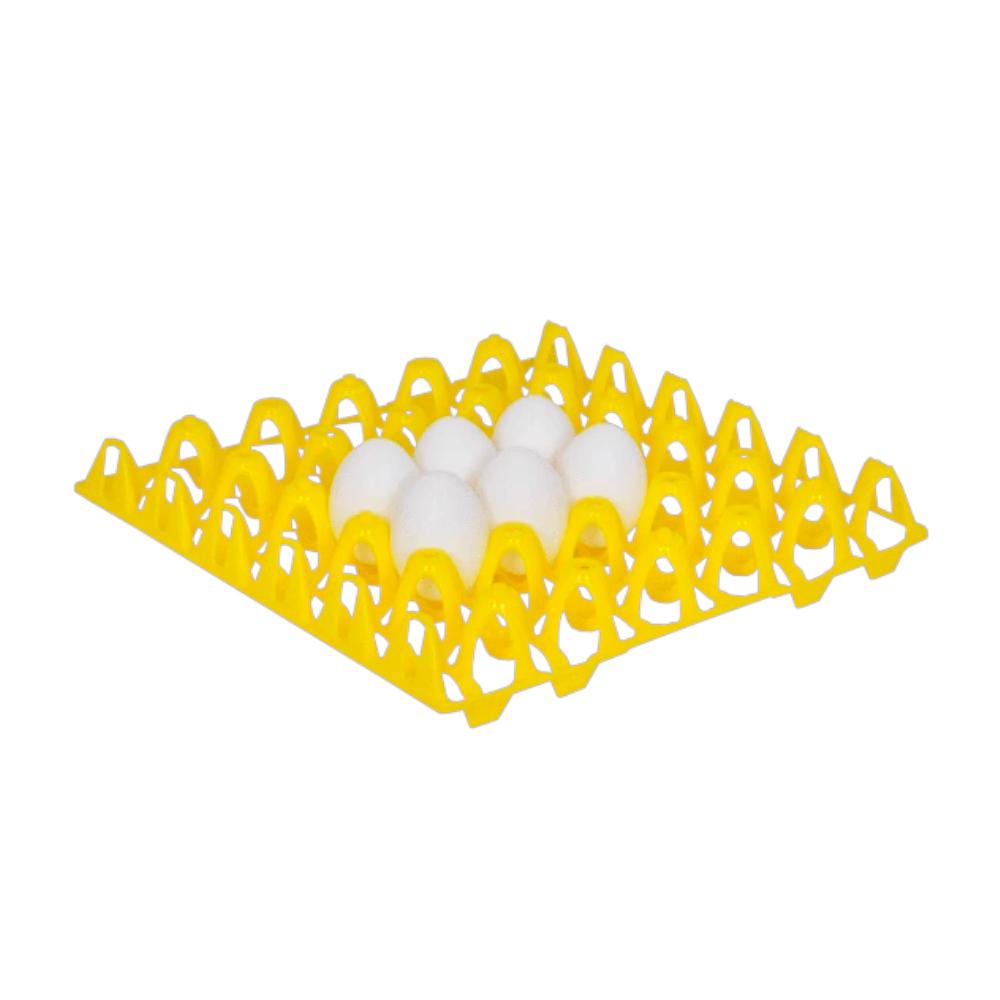Hatching Time Plastic Chicken Egg Tray - 30 Eggs