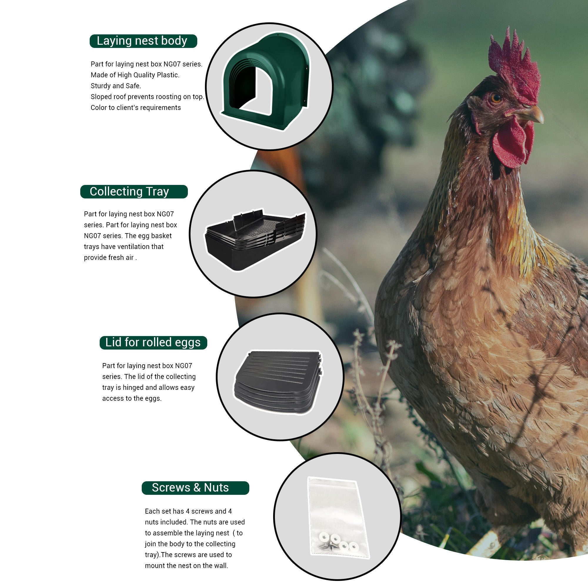 Plastic chicken nest box with front roll-out egg tray and hinged cover