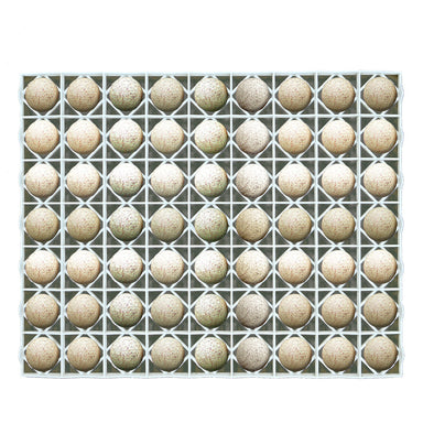 Plastic egg setter tray for 63 duck and turkey eggs.