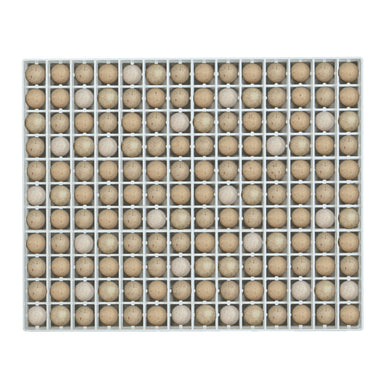 Plastic egg setter tray with capacity for 154 partridge eggs.
