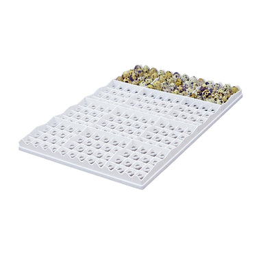 Plastic egg setter tray with capacity for 208 quail eggs.