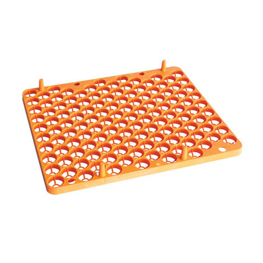 Plastic quail egg setter tray with capacity for 129 quail eggs.