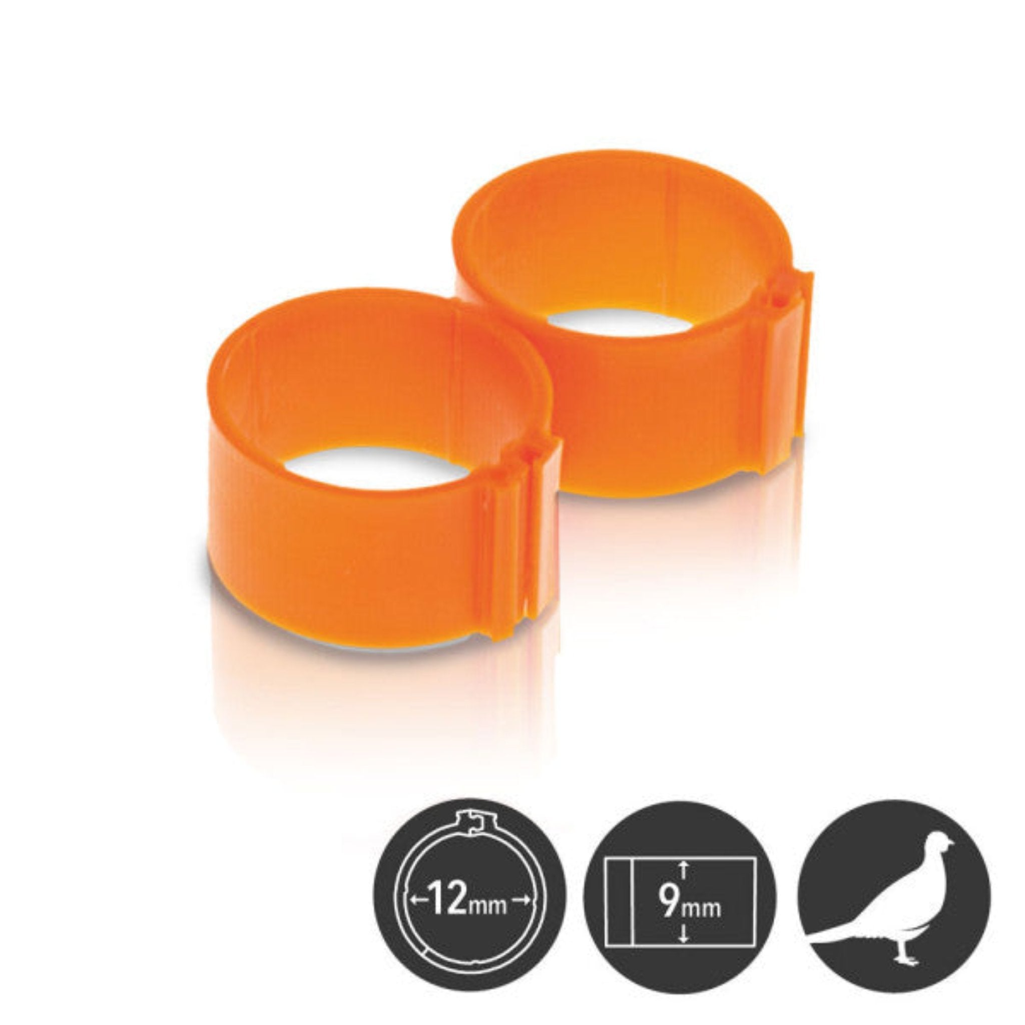 Polypropylene bird leg rings for poultry identification and flock management
