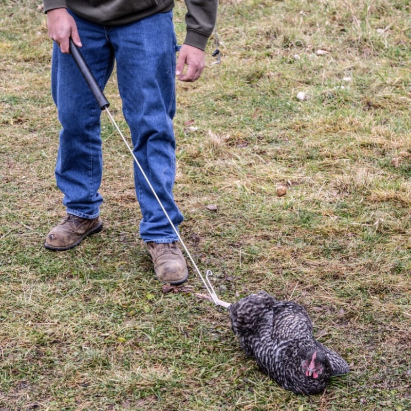 Yardbird Poultry Wrangler Model 47008