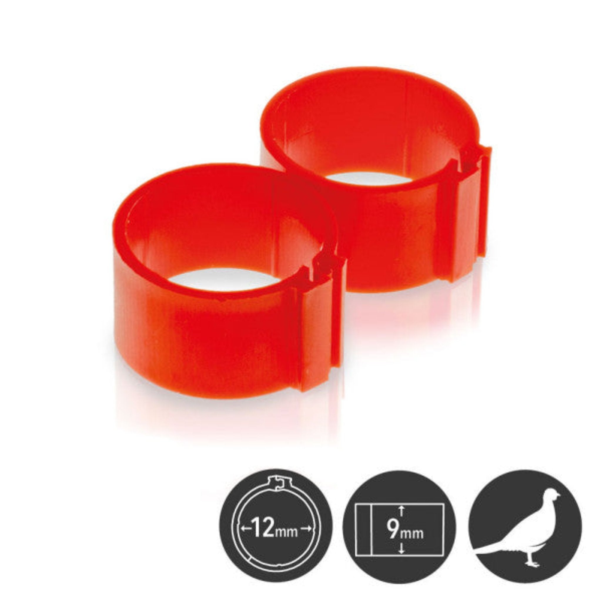 Poultry identification bands with secure zip connections in bright colors