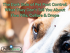 Premo Plus+ Bed Bug Spray Dark Side of Pet Pest Control