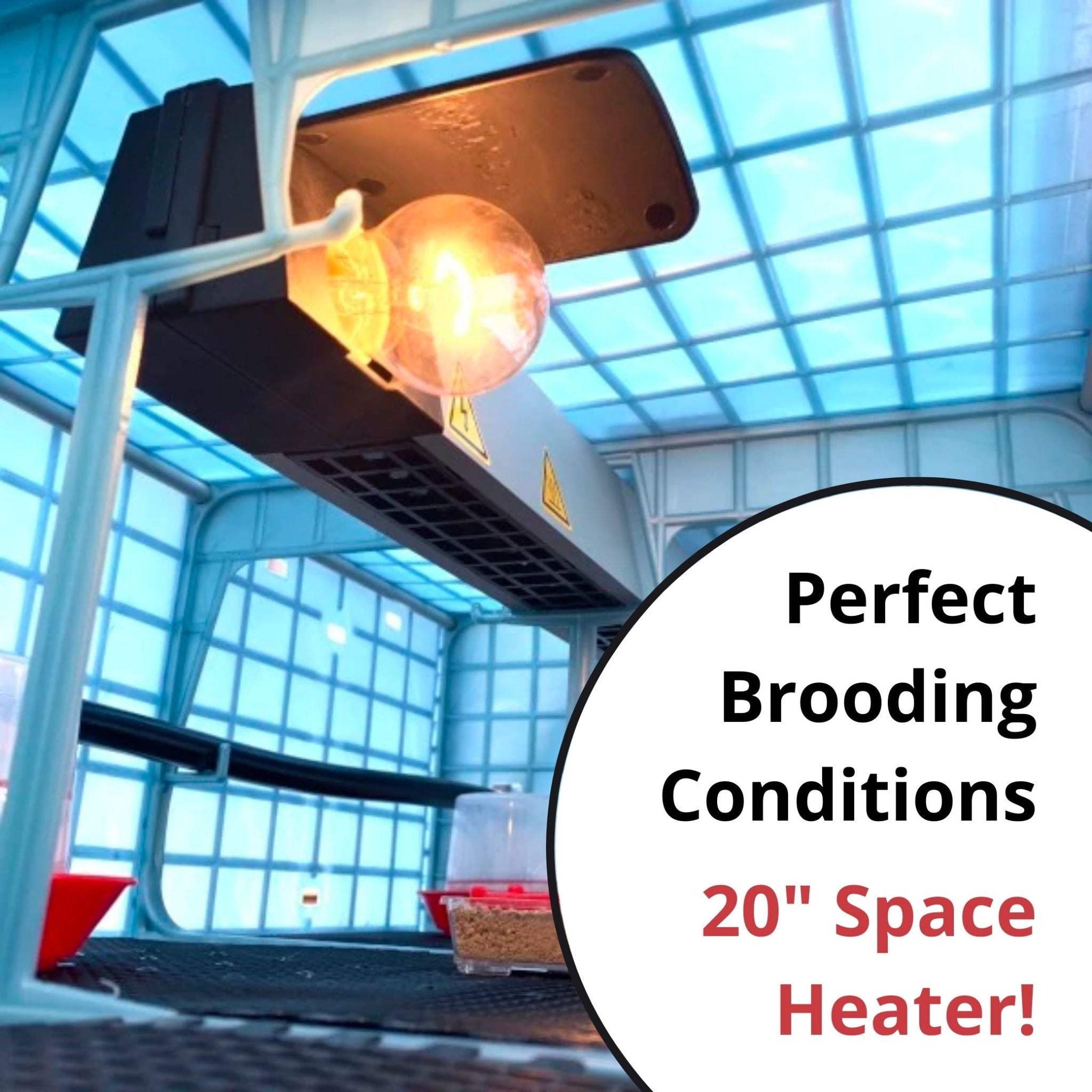 Cimuka Quail Pro Plus Kit - End To End Process, Incubate, Grow, Process & Pluck