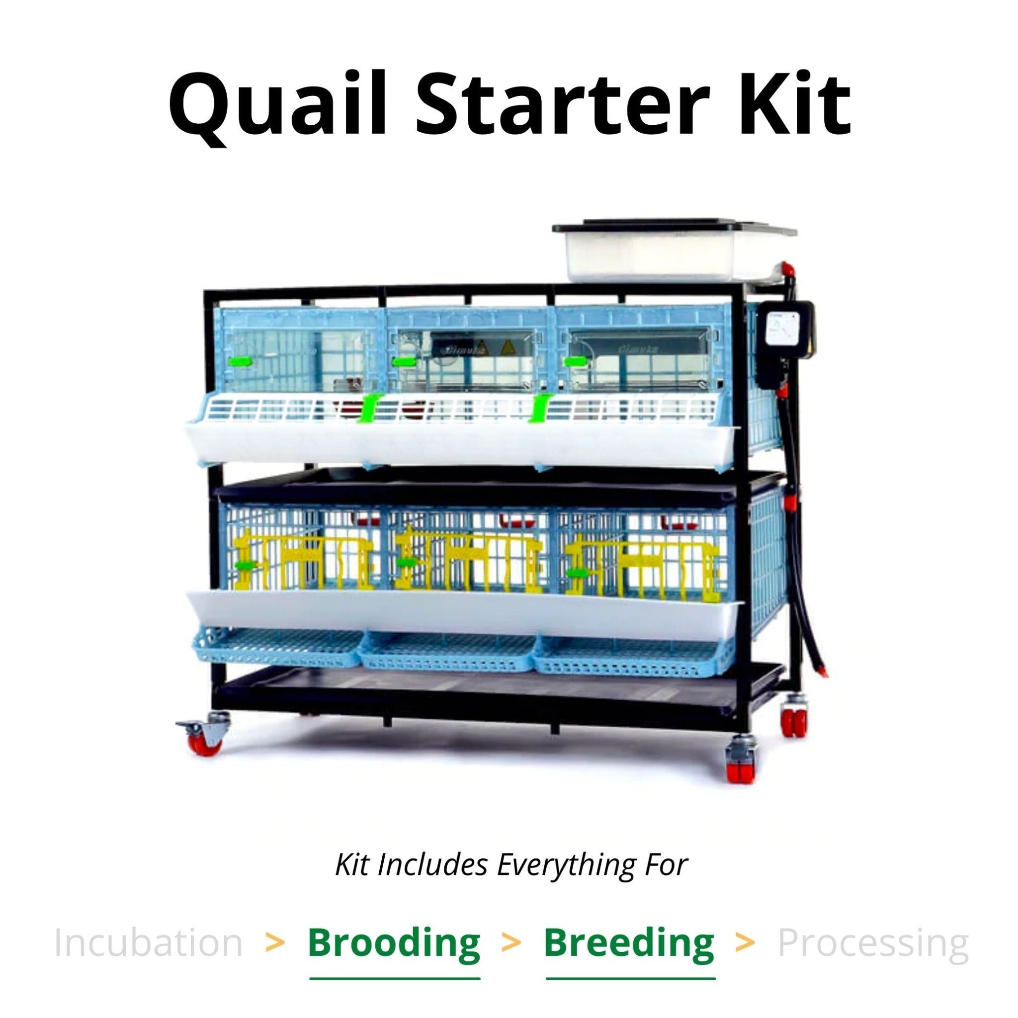 Cimuka Quail Starter Kit - Brooder & Cage