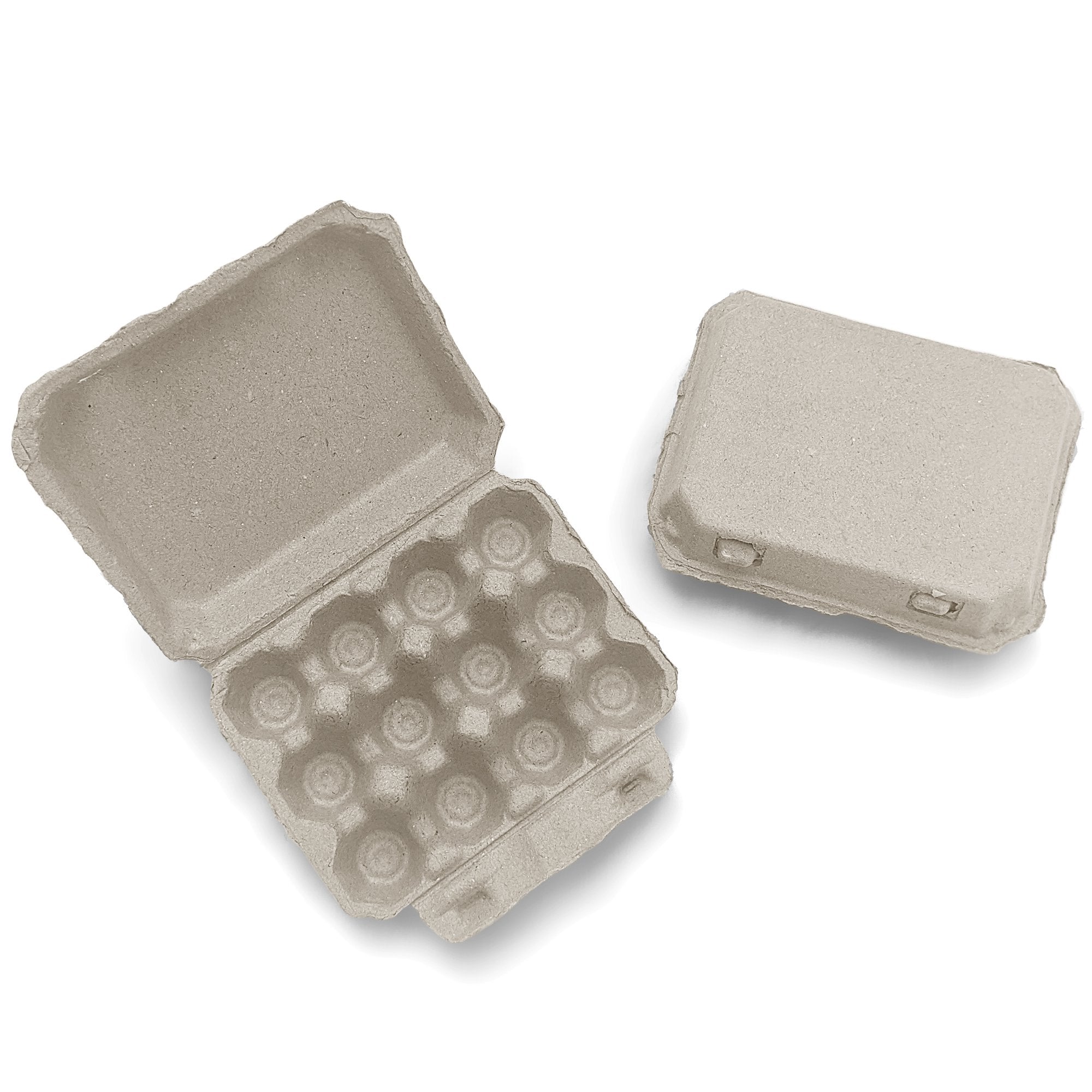 Henlay Quail Egg Carton for 12 Eggs