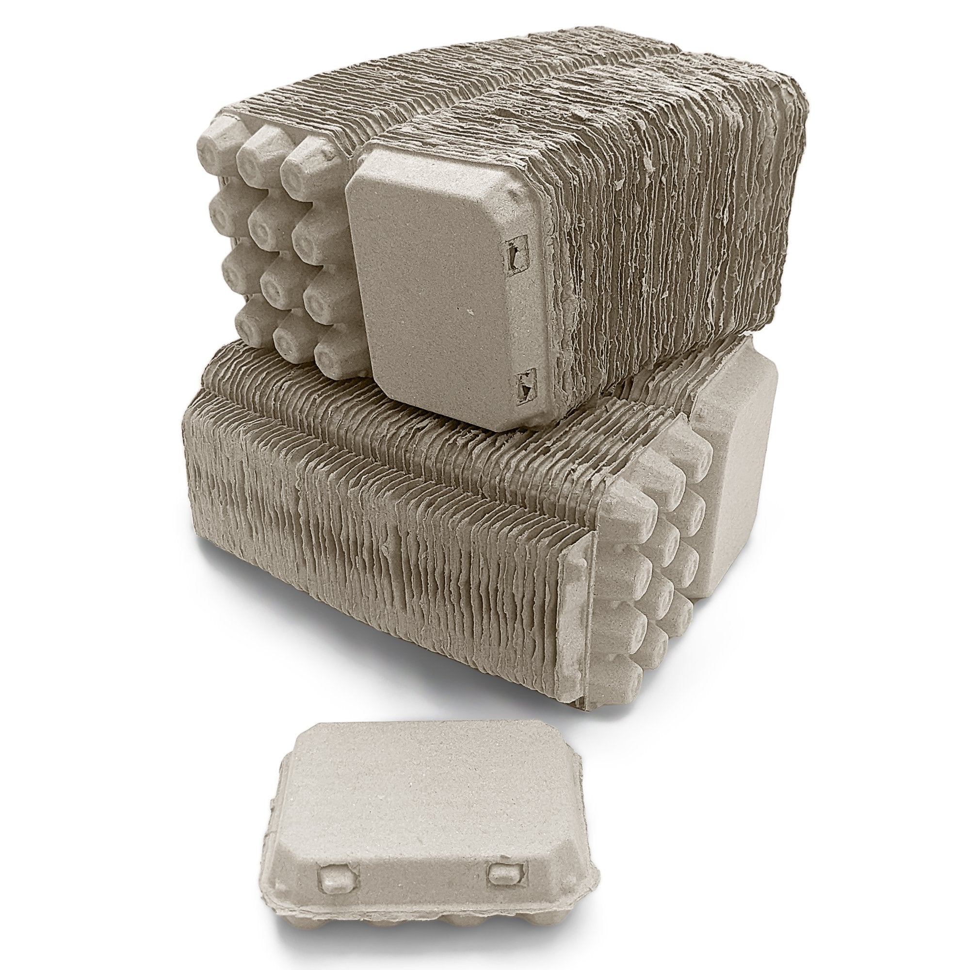 Henlay Quail Egg Carton for 12 Eggs