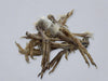Quail Feet Dog Treats