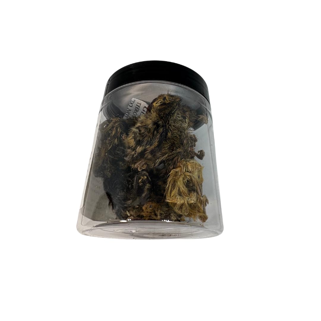 Quail Whole Chick Treats inside packaging
