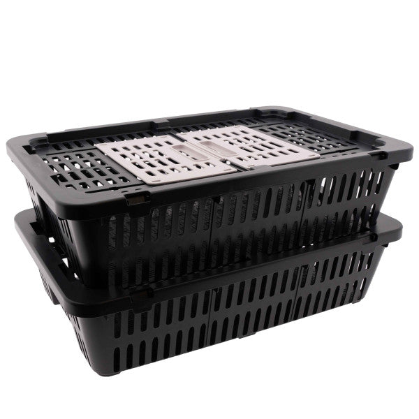 Quail and pigeon transport box with lightweight plastic construction and secure doors.