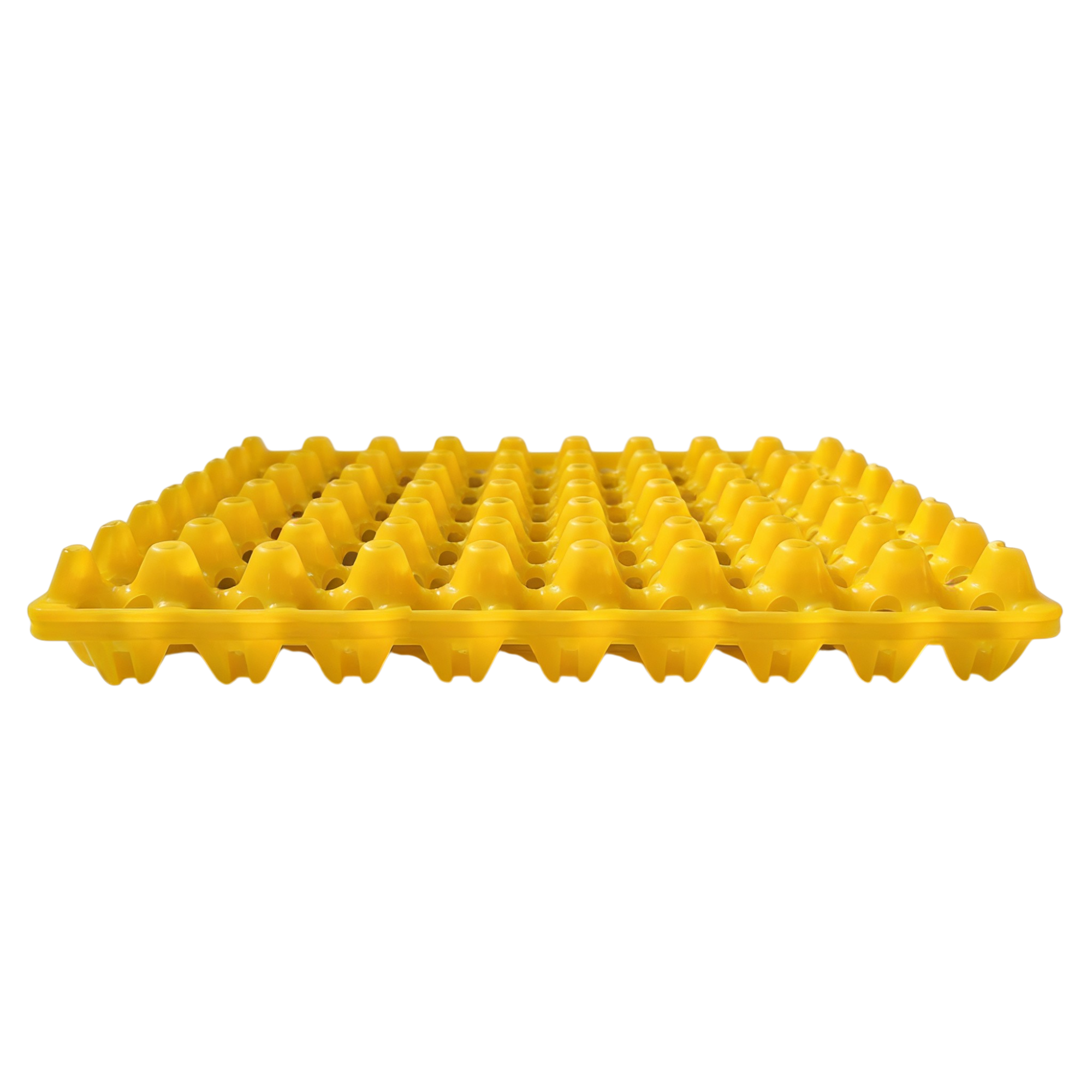 Quail egg setter tray measuring 11.81 inches square for organized egg setting.