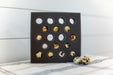 Quail egg shipping foam with 18 individual egg openings