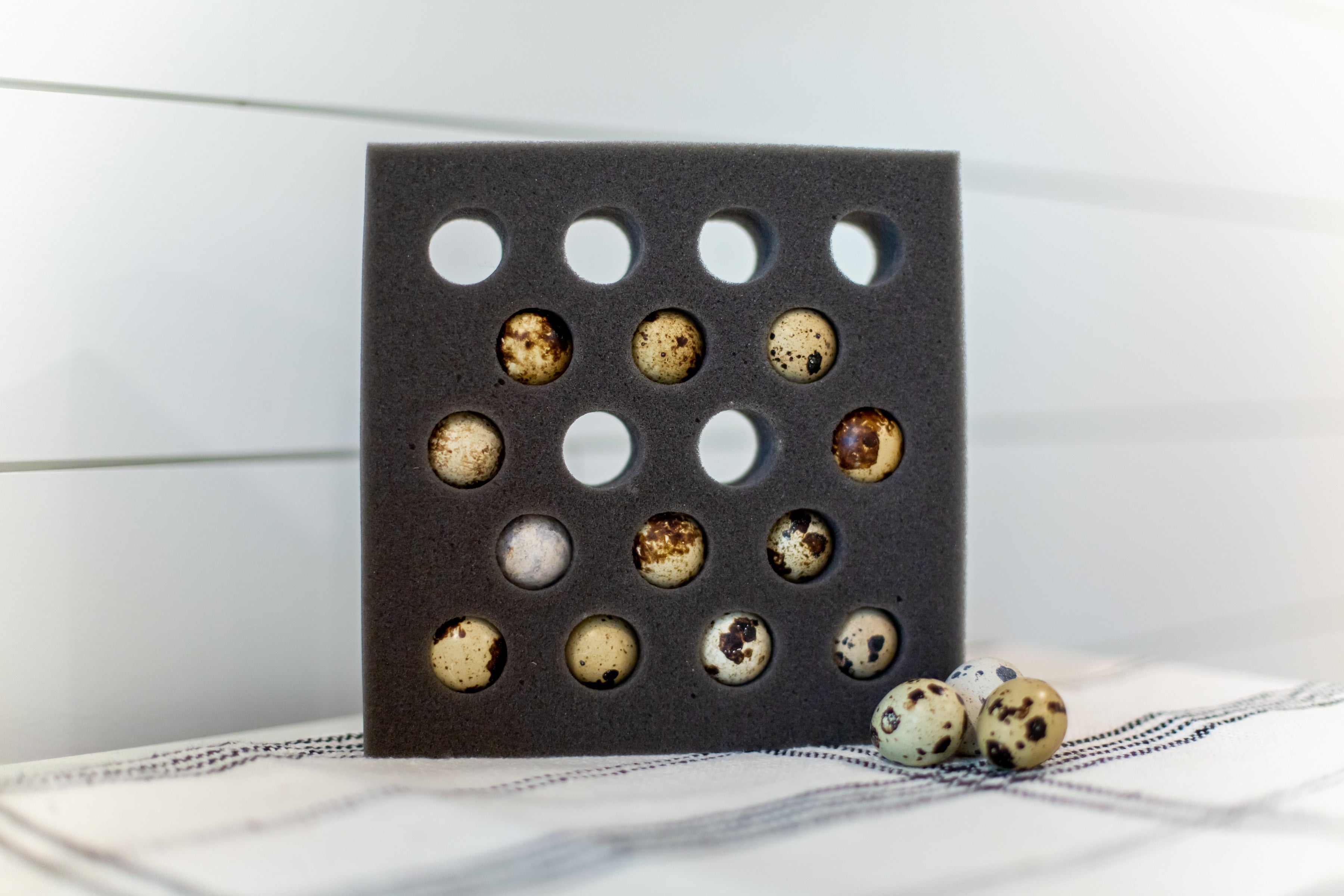 Quail egg shipping foam with 18 individual egg openings