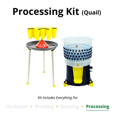 Quail processing kit with rotating 14-cone killing stand and feather plucker