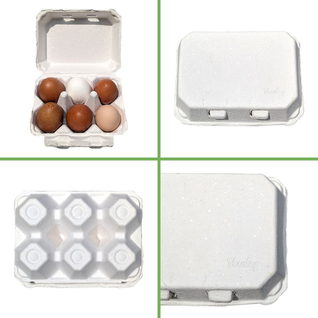 Recycled cardboard half dozen chicken egg cartons