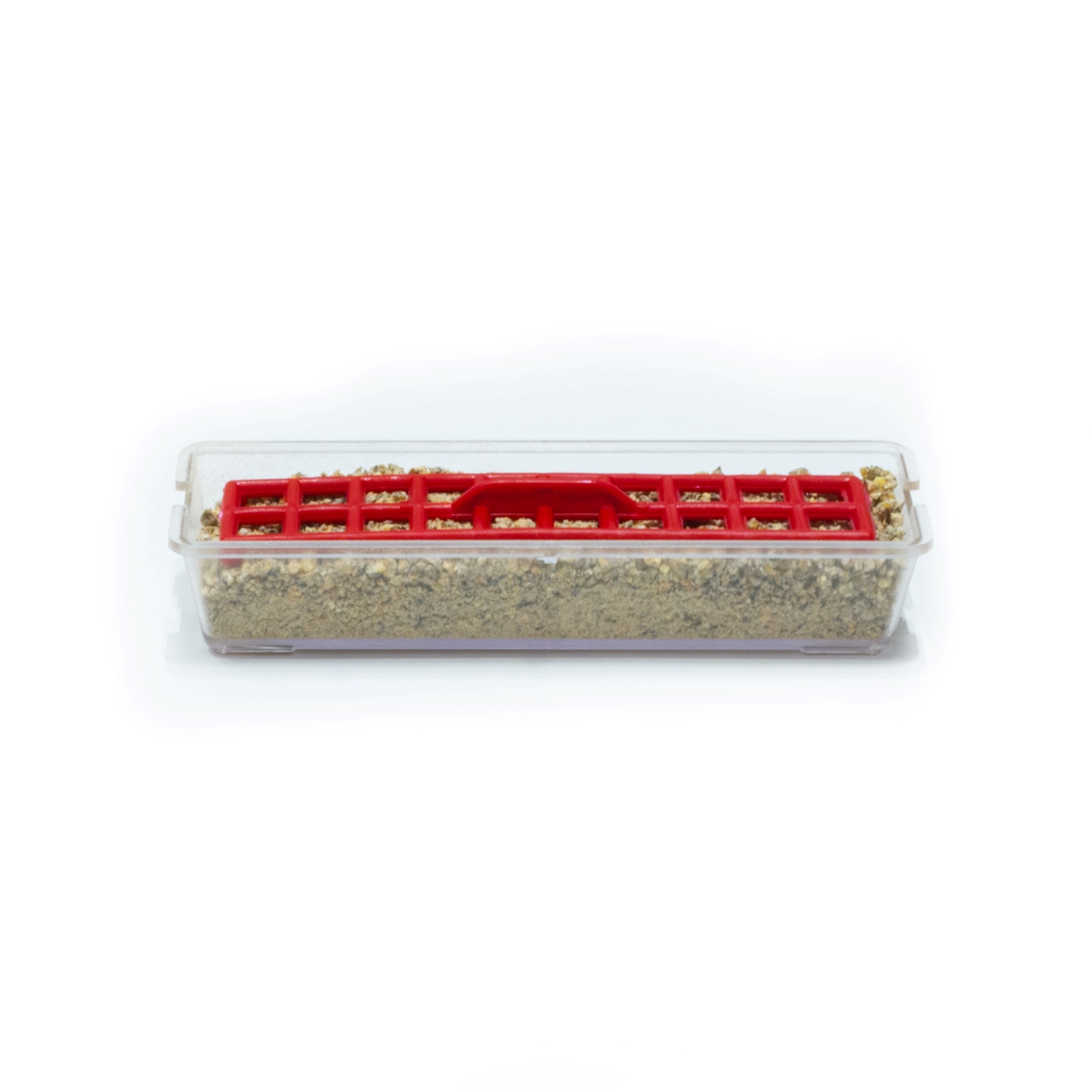 Red-grill chick feeder for use in a brooder or free-range setup.