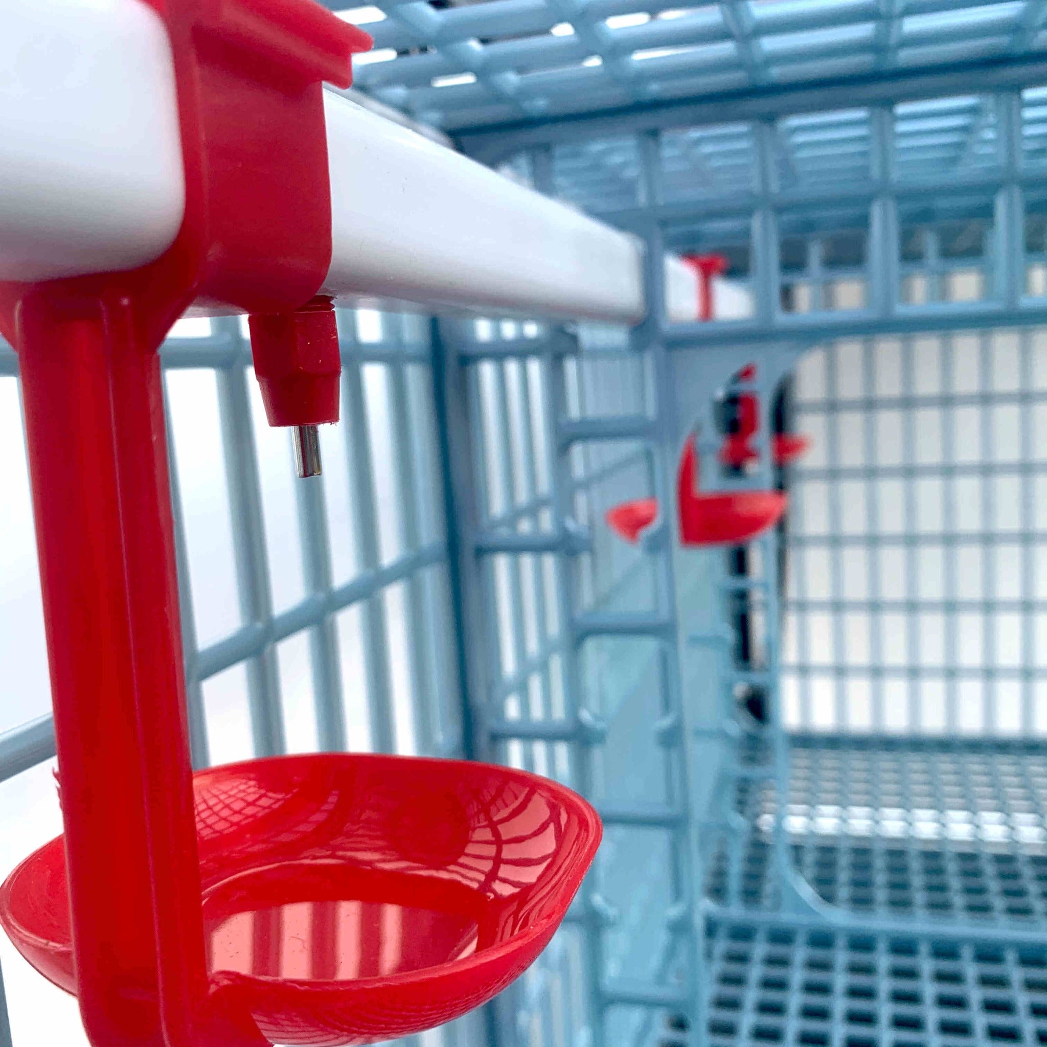 Red feed-saving grill covers on Cimuka poultry grow-out pen feeding troughs