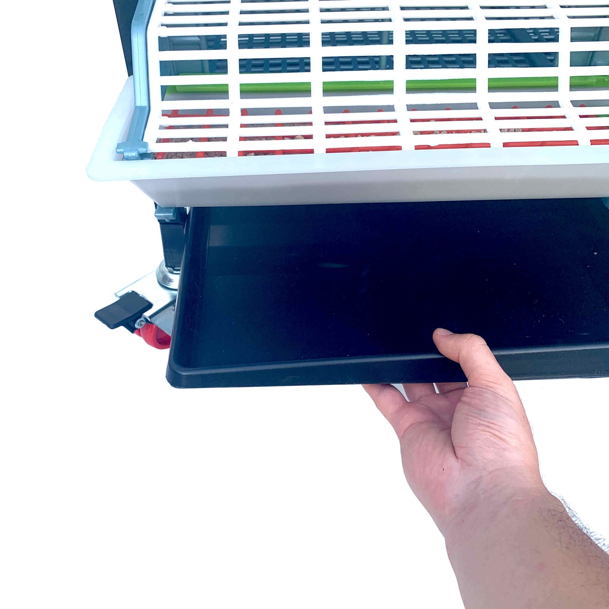 Red feed grill covers on a Cimuka grow-out pen designed to help reduce poultry feed waste.