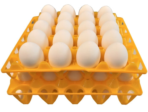 Reusable 20-egg tray for duck, goose, turkey and peafowl eggs