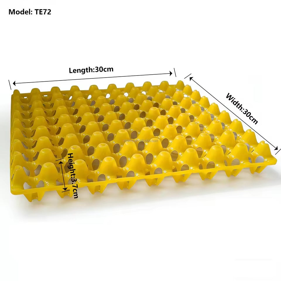 Reusable plastic quail egg incubation tray with capacity for 72 eggs.