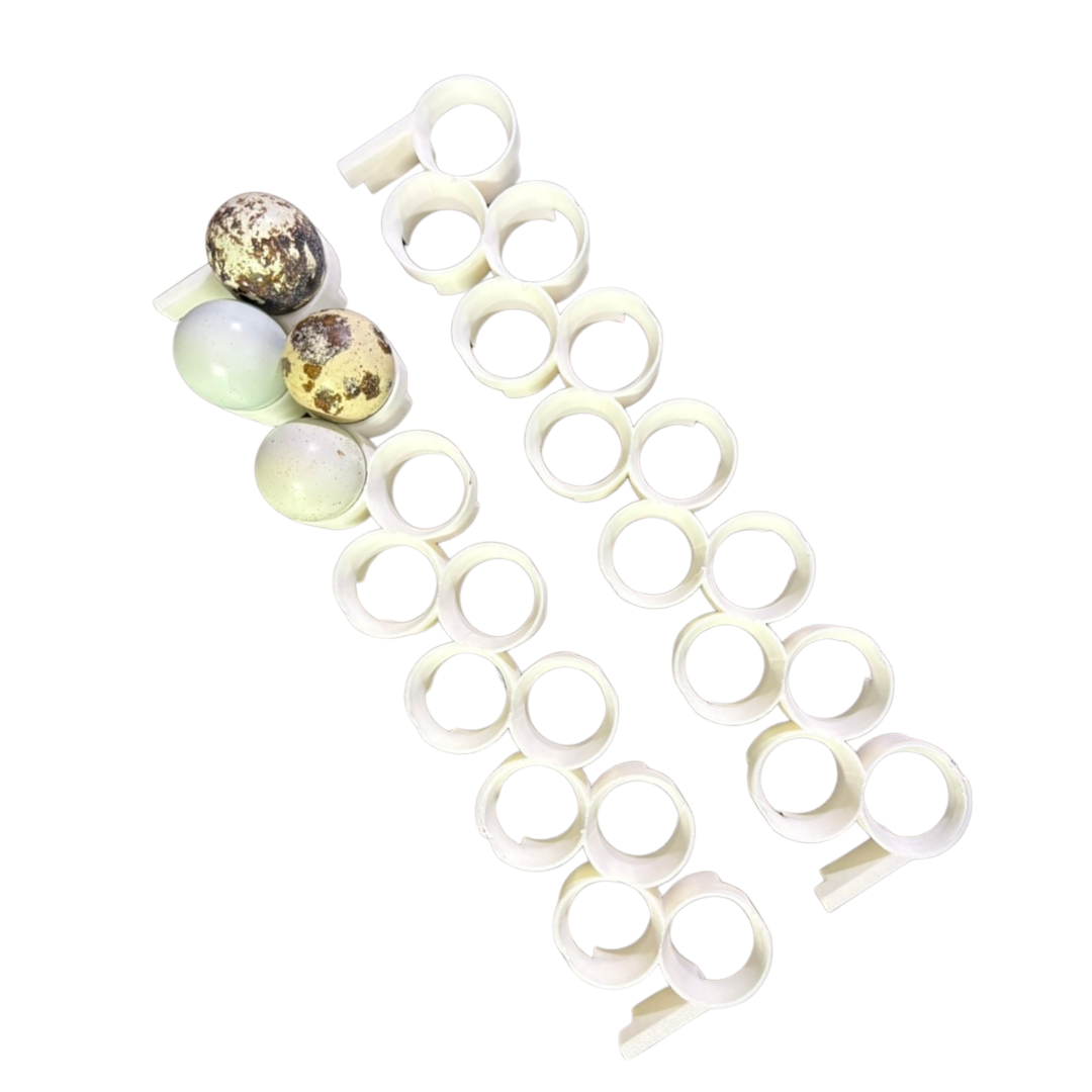 Reusable polymer rails for jumbo quail egg incubation