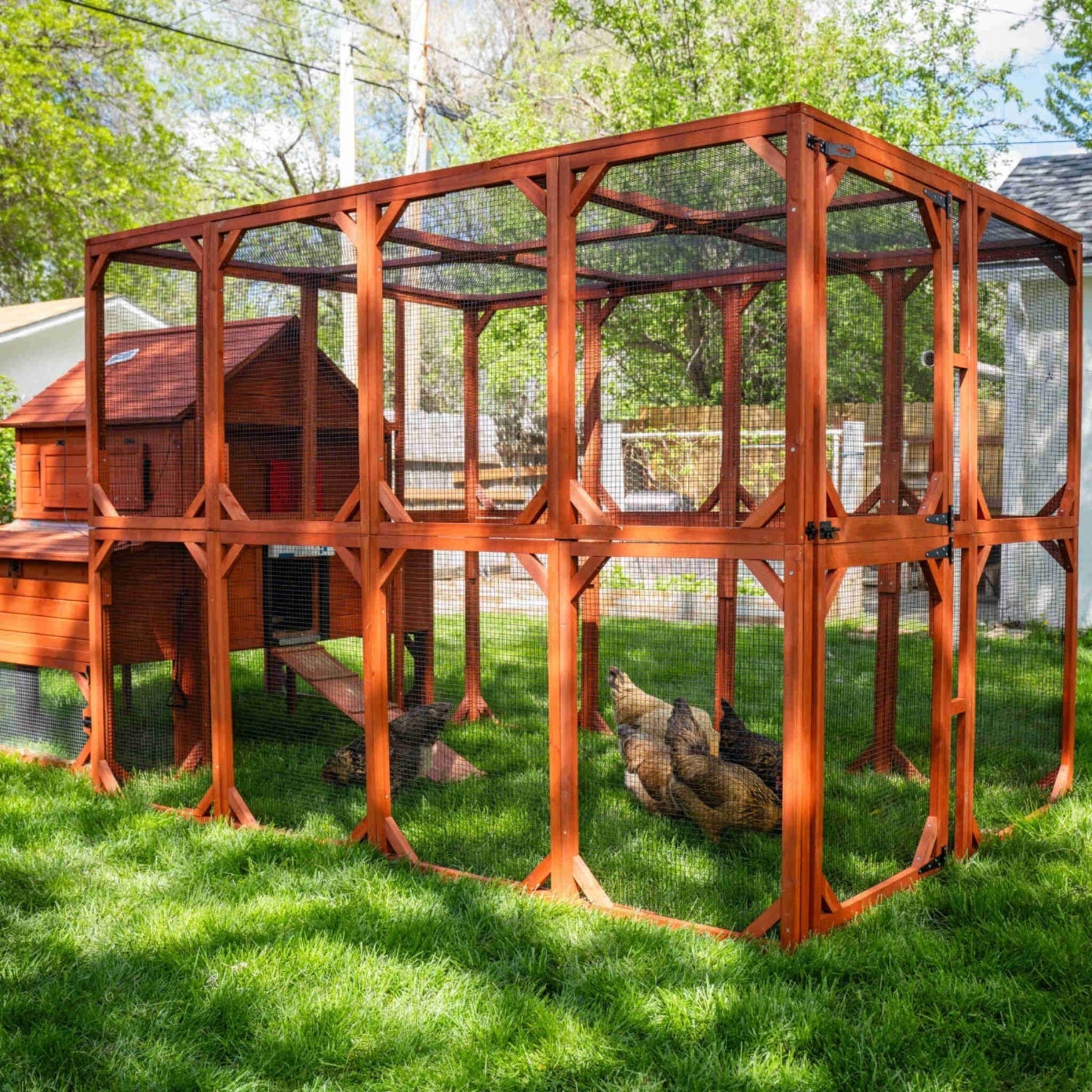 Chicken Coop Kit for 10 Chickens - 3 Run Options | Rhode Island Homestead Coop