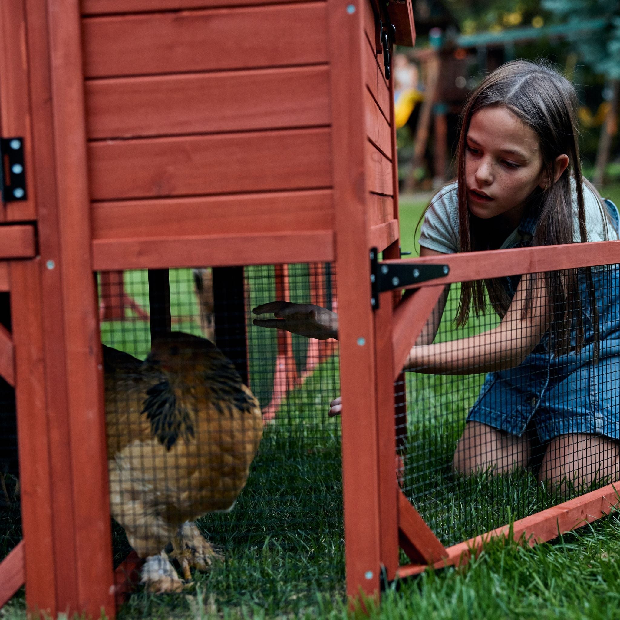 Chicken Coop Kit for 10 Chickens - 3 Run Options | Rhode Island Homestead Coop