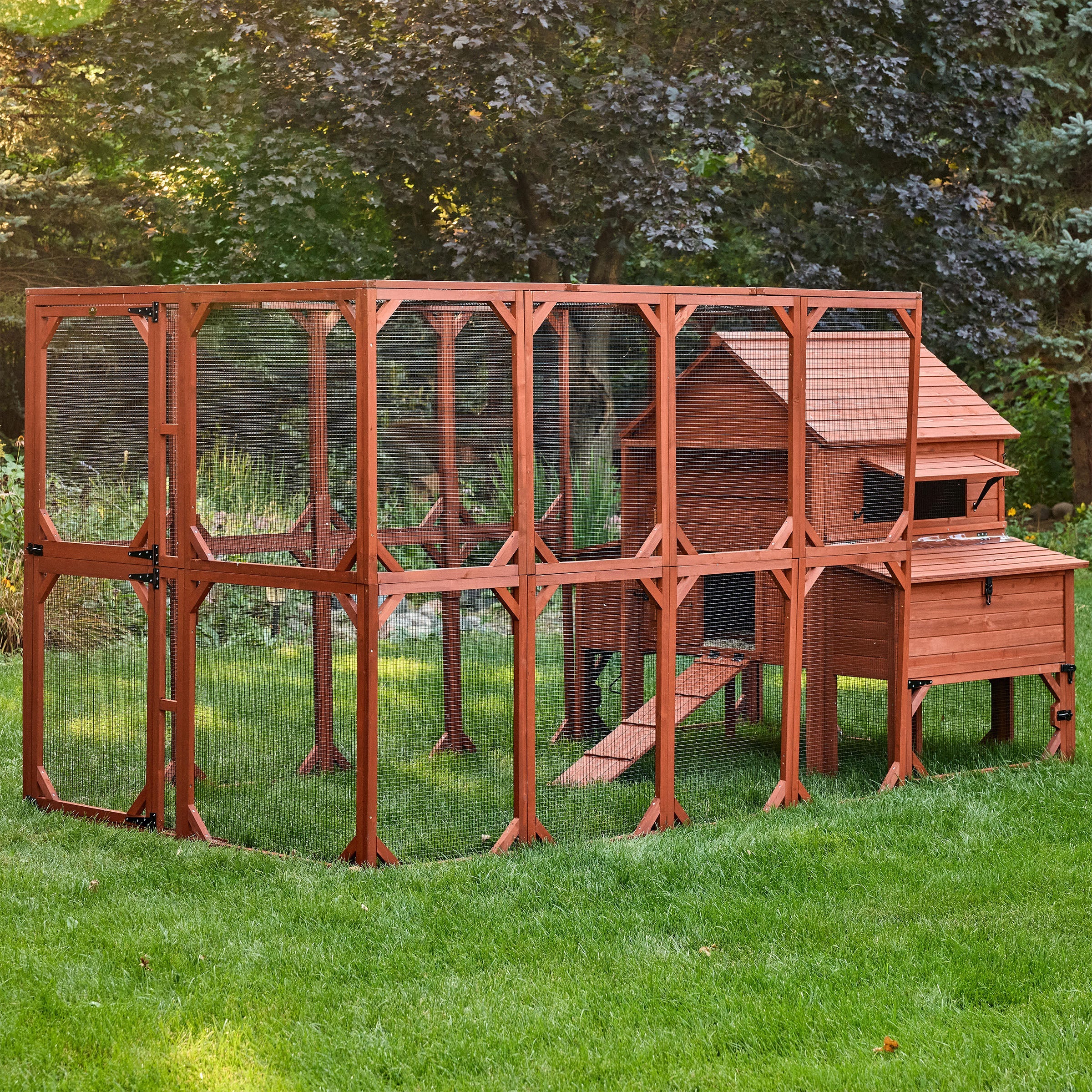 Chicken Coop Kit for 10 Chickens - 3 Run Options | Rhode Island Homestead Coop