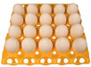 Rite Farm Products 20 Egg Capacity Duck, Goose, Turkey, & Peafowl Size Trays