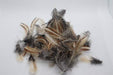 Rooster Feathers for Crafts and Decor from Quail