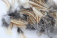Rooster Feathers for Crafts from Quail
