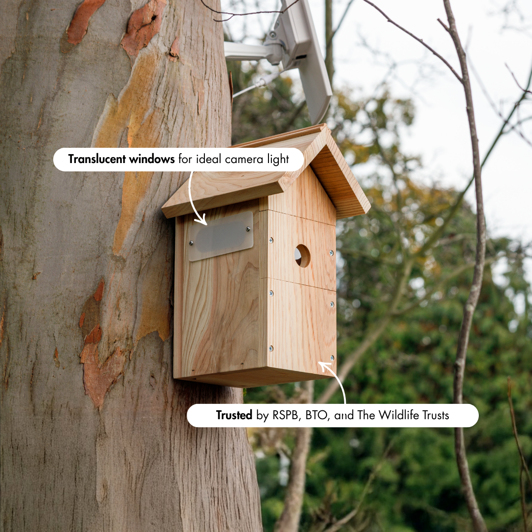 Solar-powered WiFi camera for monitoring nesting birds