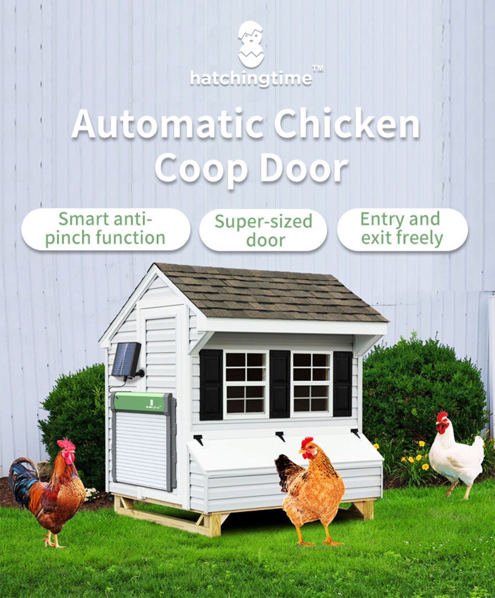 Solar-powered automatic chicken door with rechargeable 2000mAh battery and USB charging