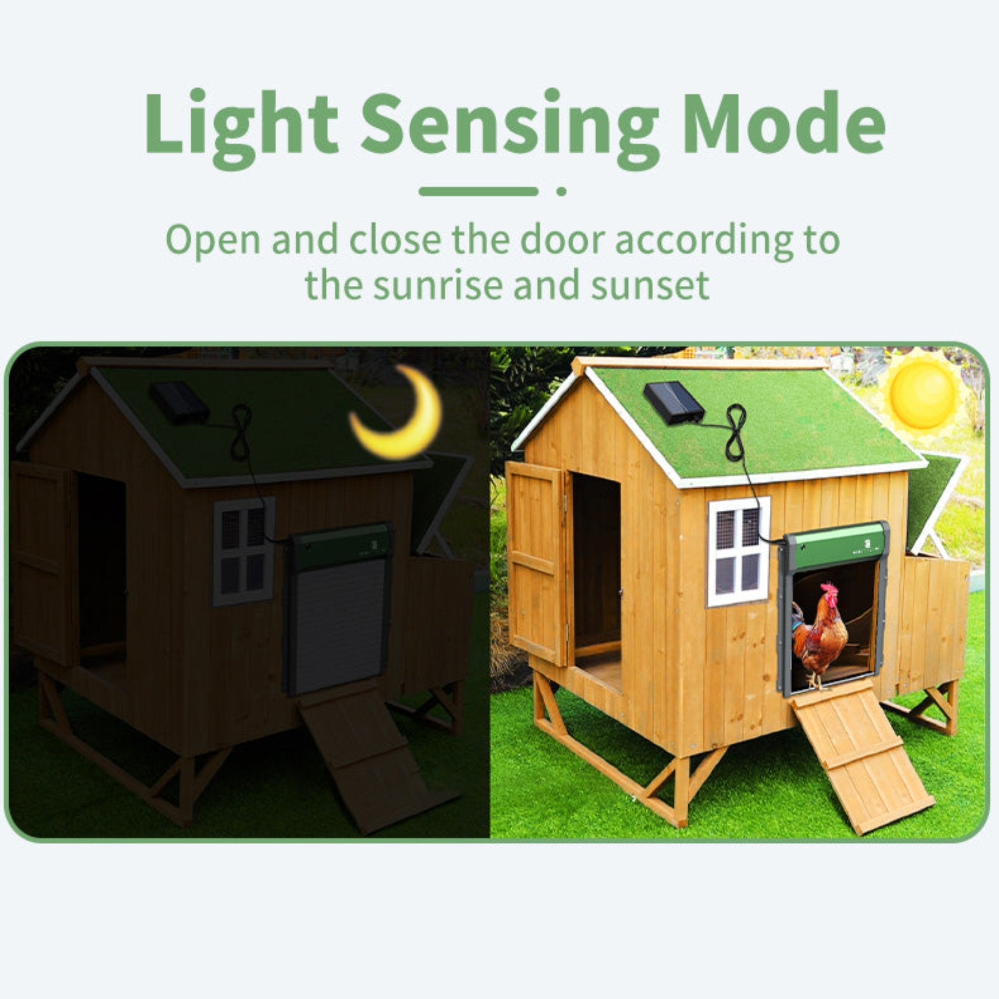 Solar-powered poultry coop door with rechargeable 2000mAh battery