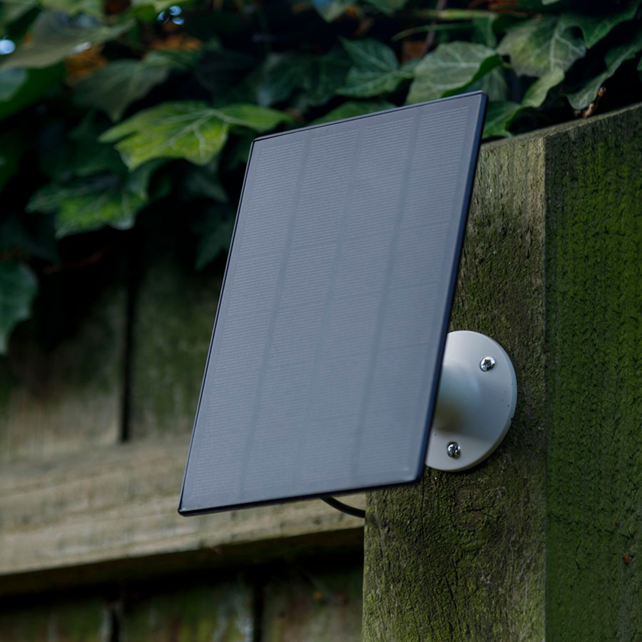 Solar charging panel positioned for WiFi Coop Camera
