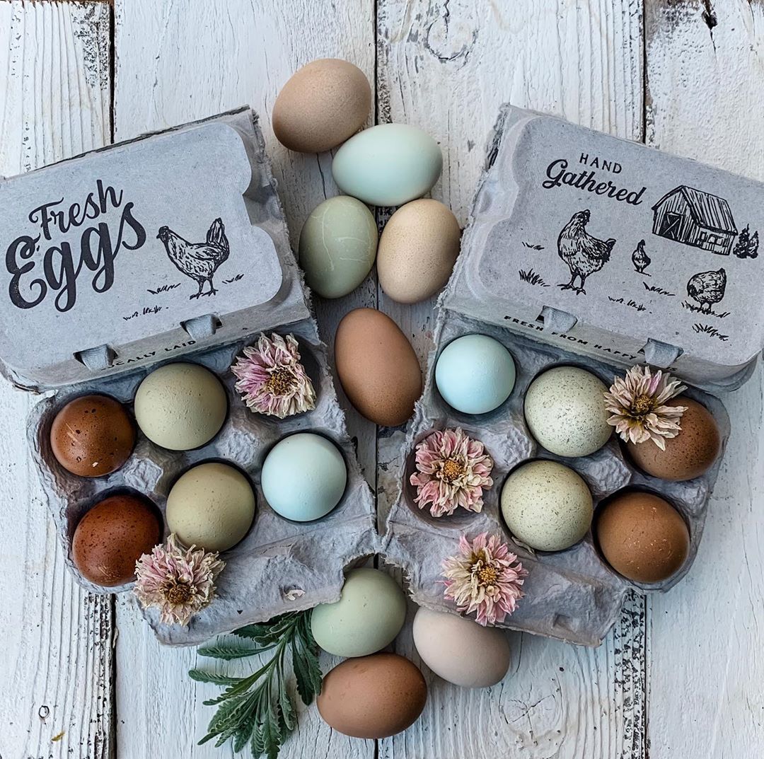 Split-Apart Egg Cartons
