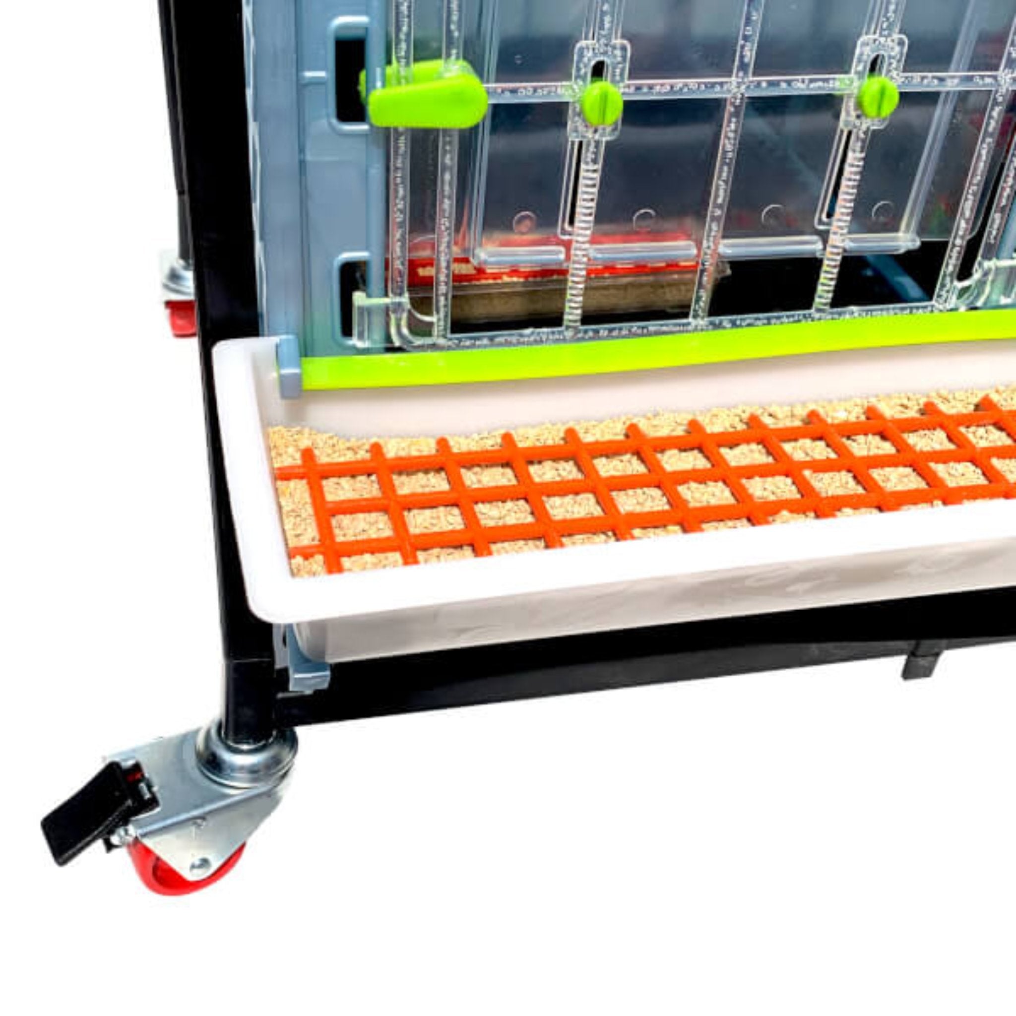 Stackable plastic chick brooder designed for organized poultry brooding and easy cleaning.