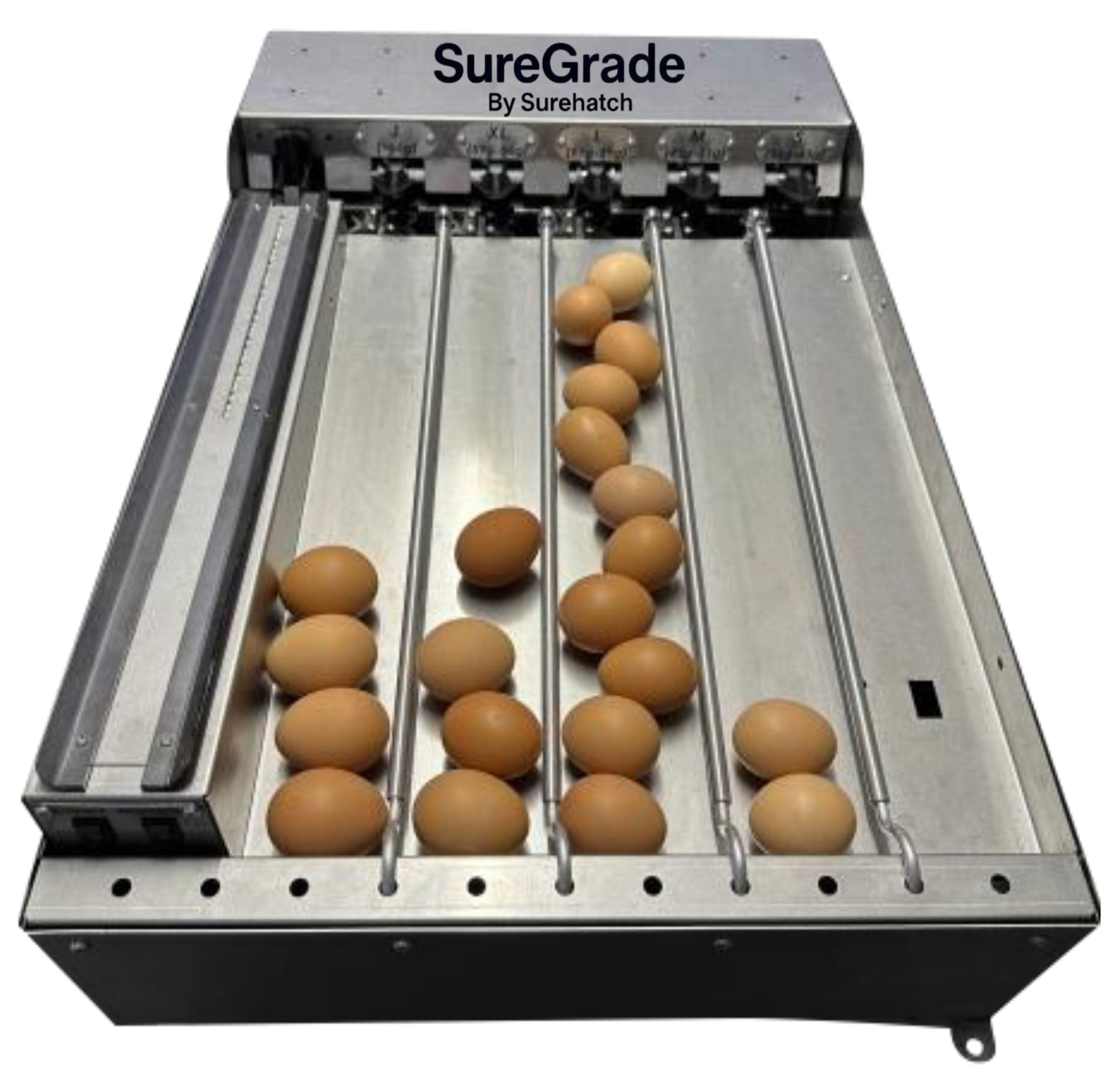 Desktop Egg Grader for 750 Eggs | SureGrade