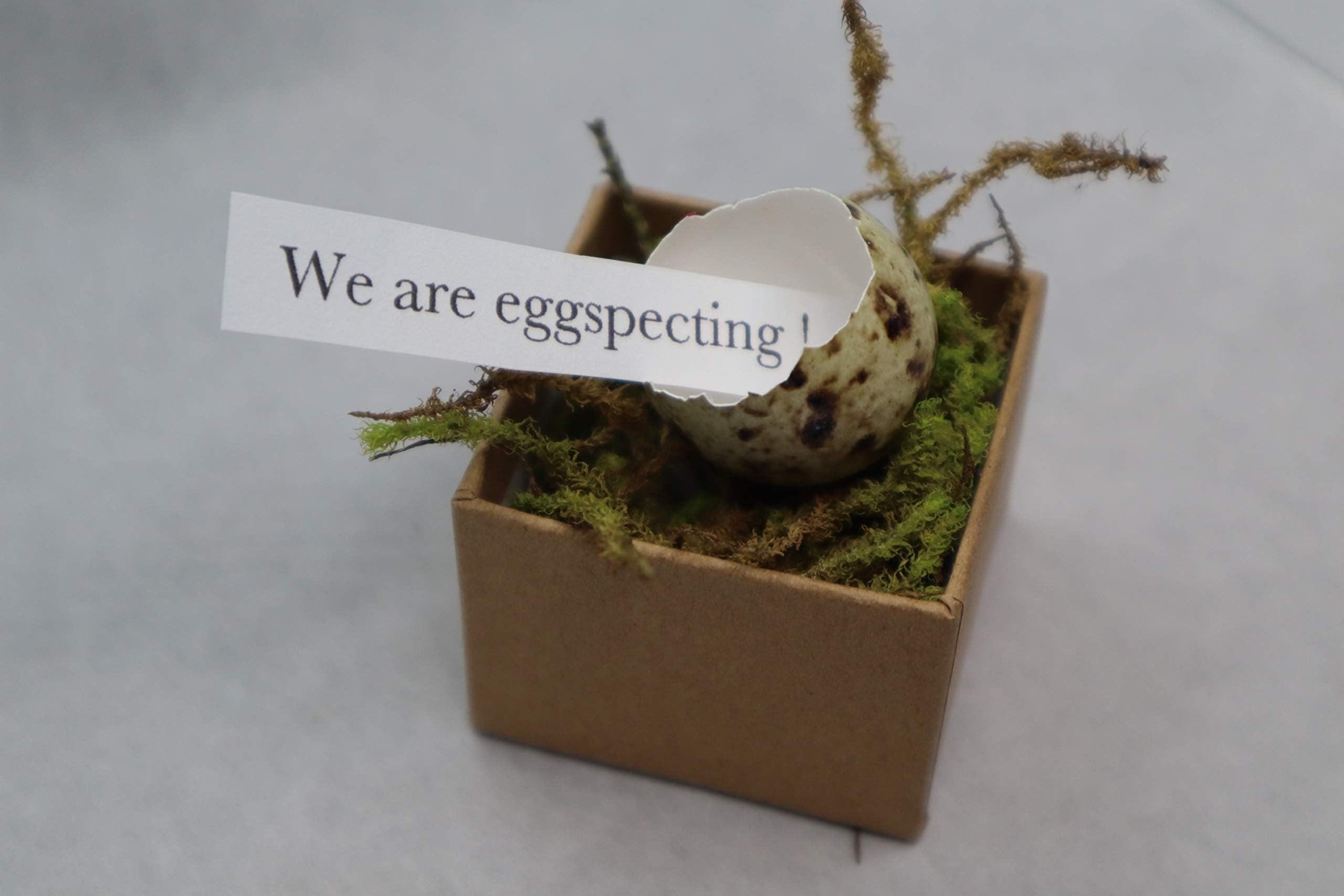 Surprise note inside quail eggshell