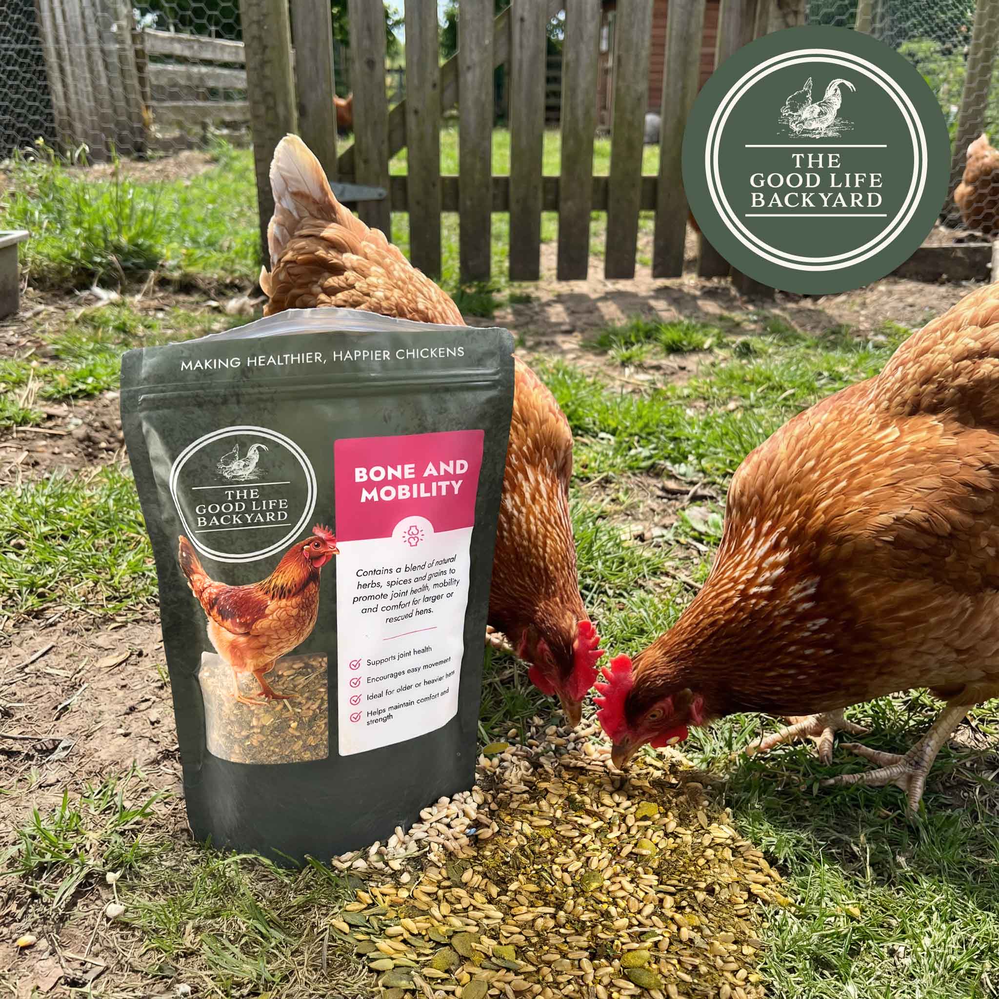 The Good Life Backyard Bone and Mobility – Natural Joint & Bone Support for Chickens healthy chickens