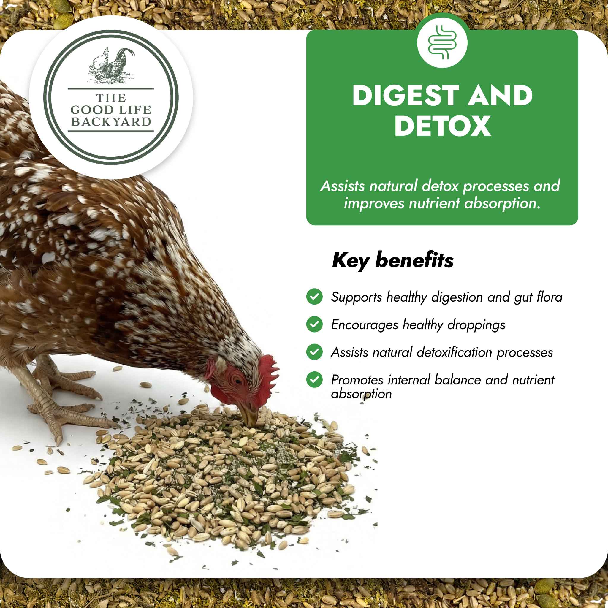 The Good Life Backyard Digest & Detox – Gut Health Blend key benefits