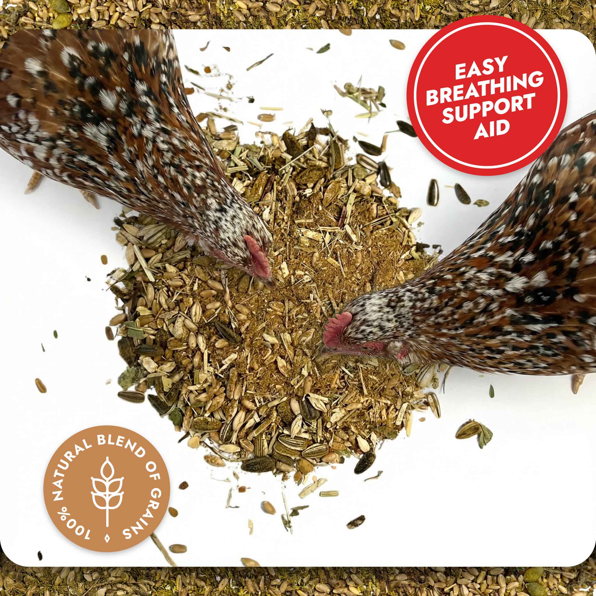 The Good Life Backyard Respiratory Relief – Spice Blend 100% natural blend of grains