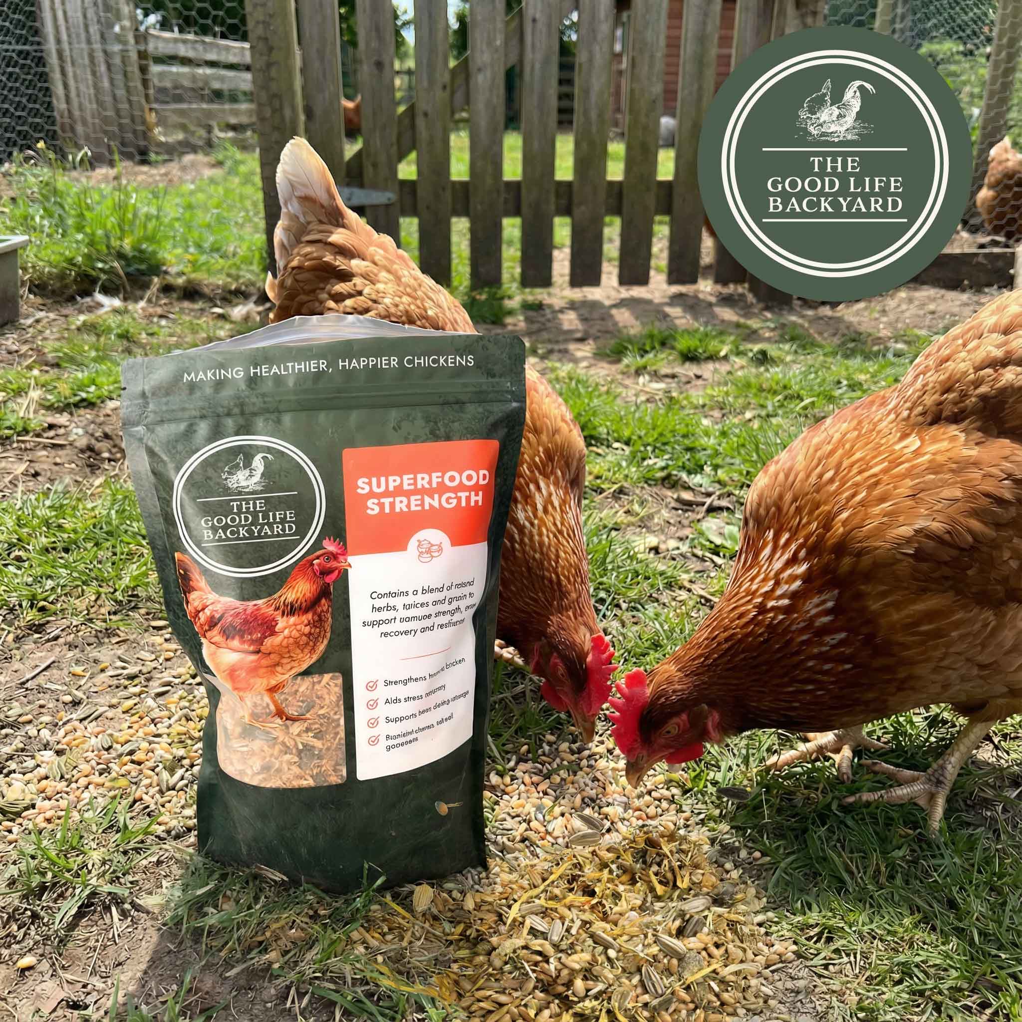 The Good Life Backyard Superfood Strength – General Wellbeing healthy chicken