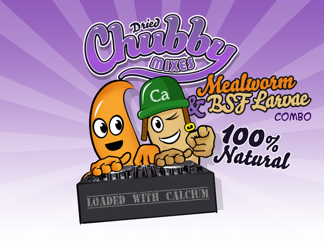 Chubby Mix 2lb (Mealworm & Black Soldier Fly Larvae Combo)