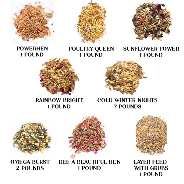 Pampered Chicken Mama Chicken Treat Best Sellers Sampler Bundle - 8 Gourmet Treats In One Box! (58 Pounds Total!)