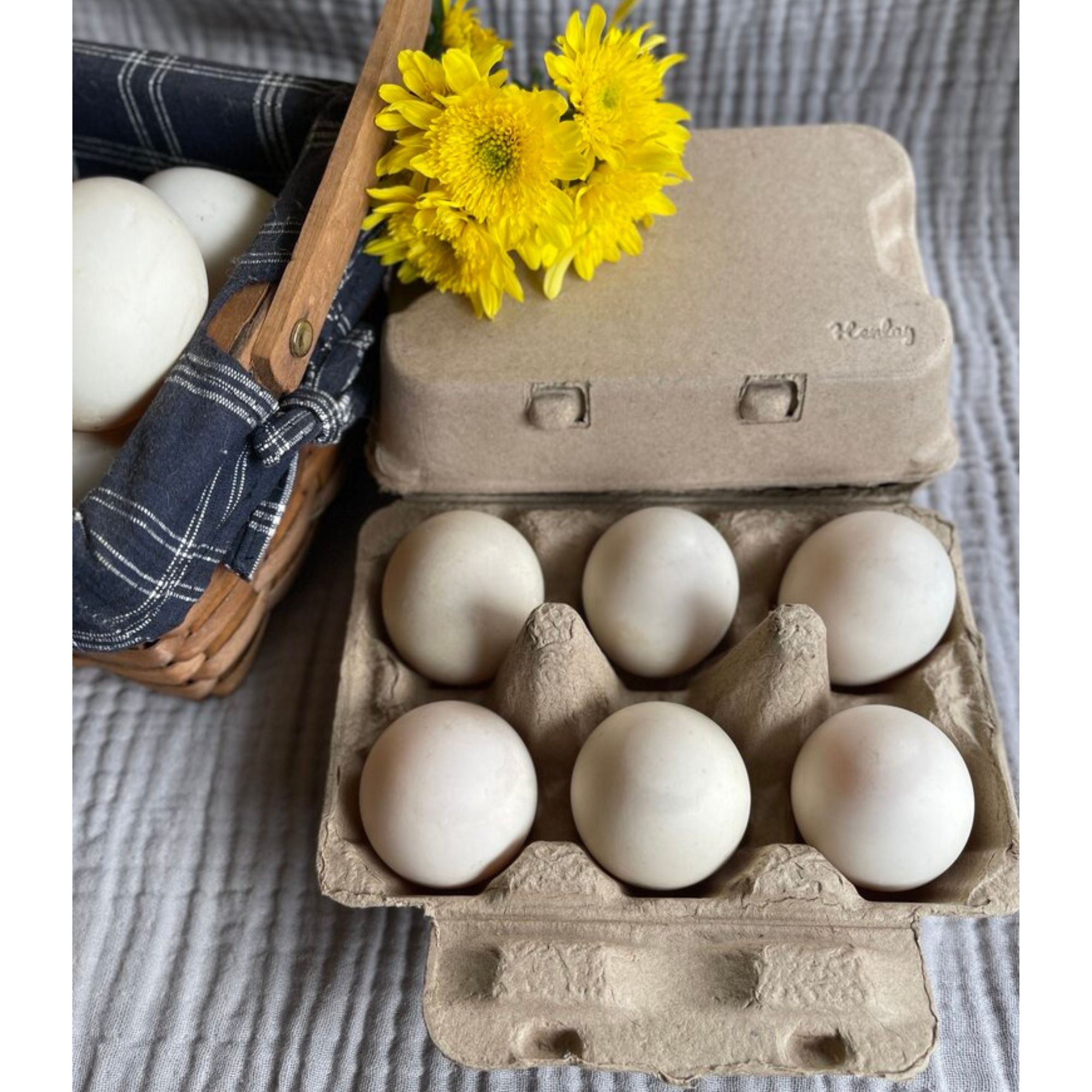 Tan Henlay duck egg carton designed for six duck eggs