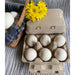 Tan Henlay duck egg carton designed for six duck eggs